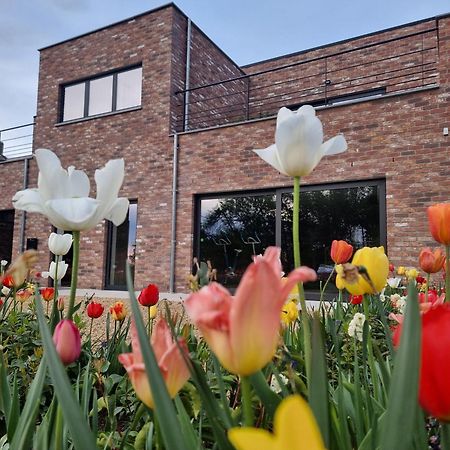Sous La Houlette, Suites, Piscine Interieure Et Sauna Villers-la-Ville Zewnętrze zdjęcie